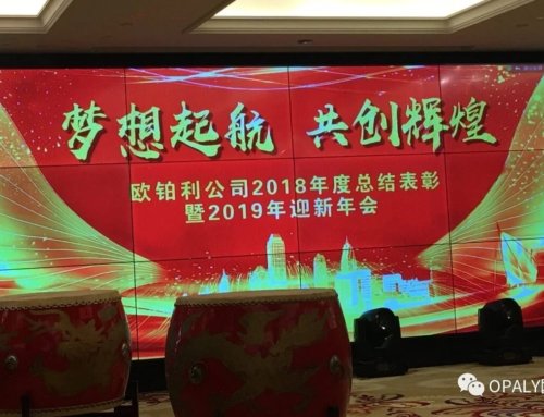 Opaly® Annual Summary Commendation 2018 and 2019 New Year Dinner